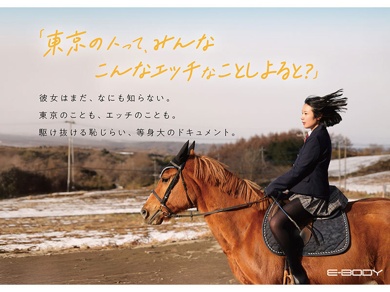 サンプル画像