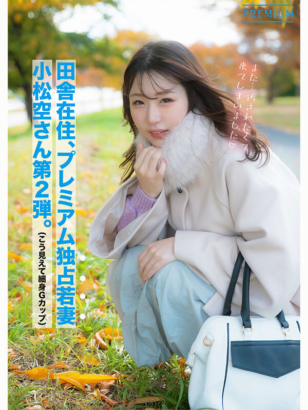サンプル画像