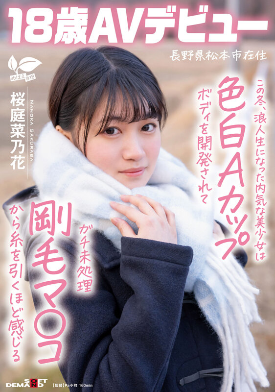 サンプル画像