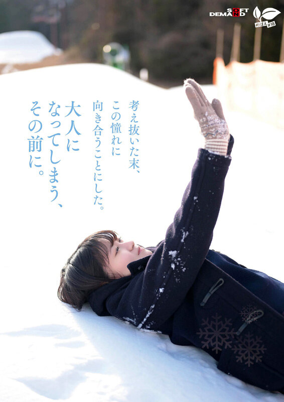 サンプル画像