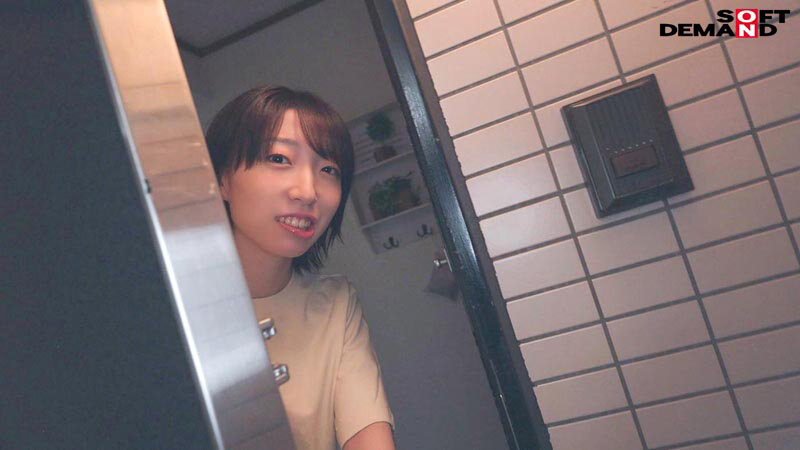 サンプル画像
