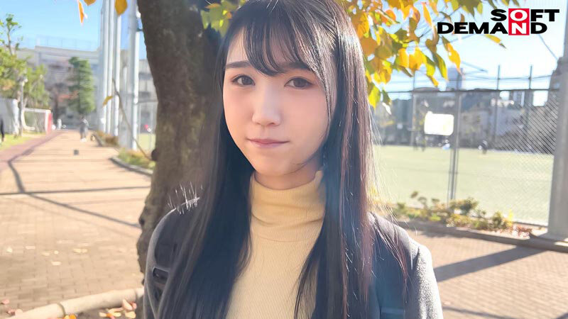 サンプル画像