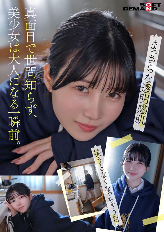 サンプル画像