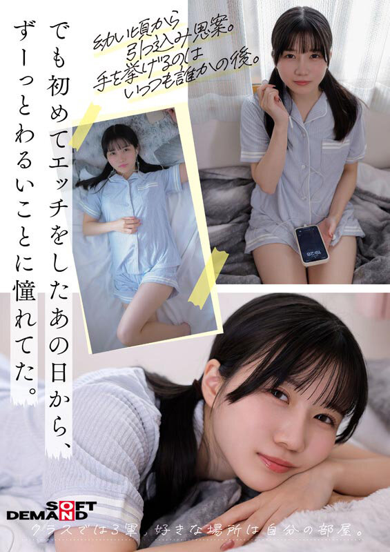 サンプル画像