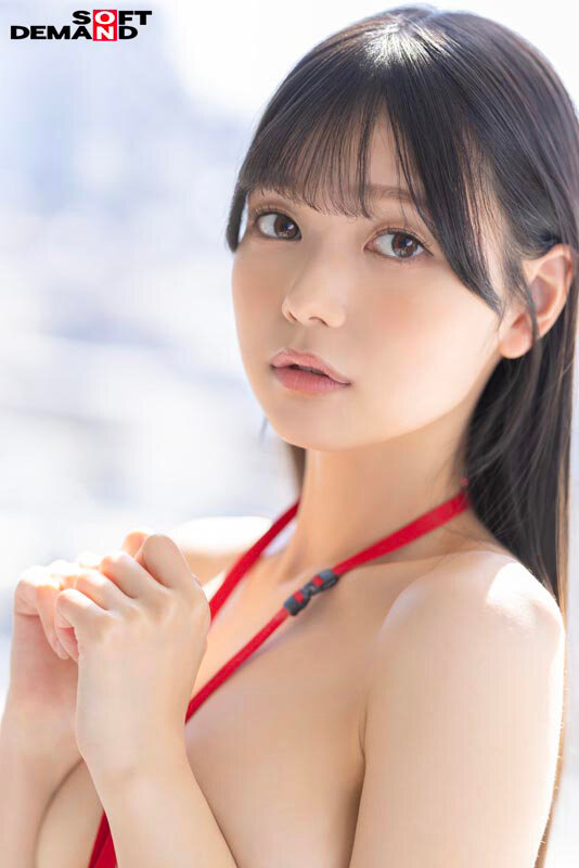 サンプル画像