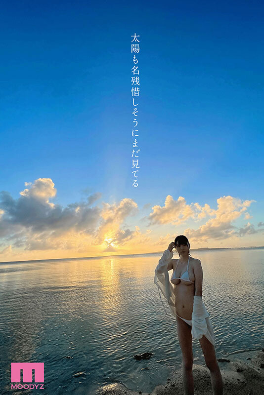 サンプル画像