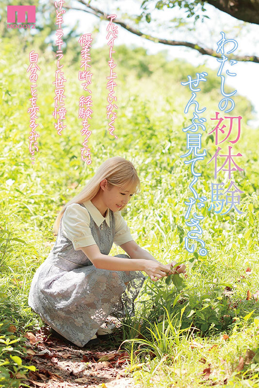 サンプル画像