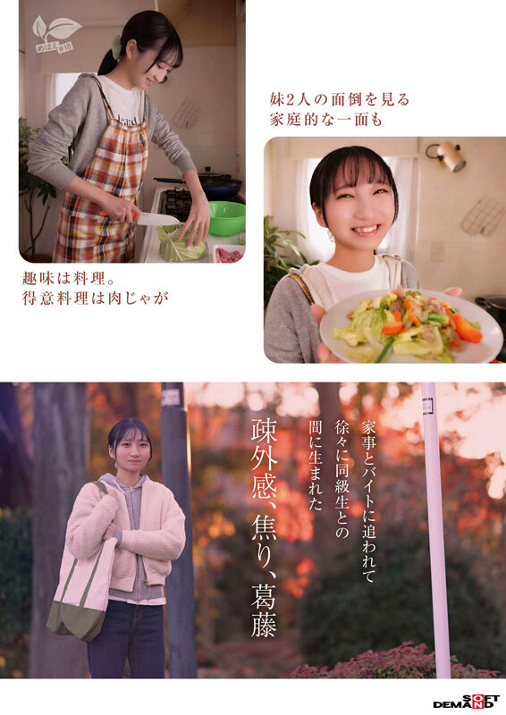 サンプル画像