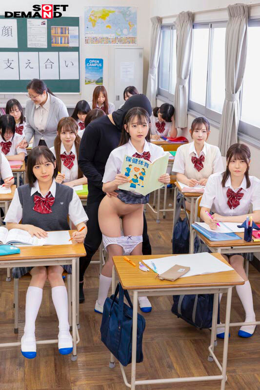 サンプル画像