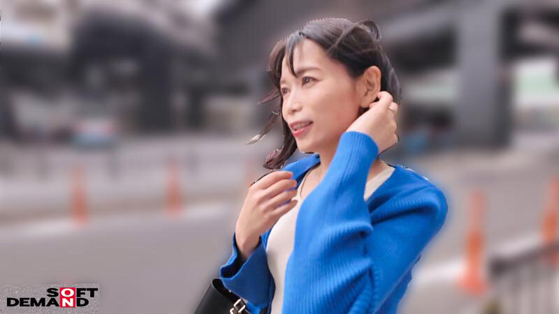 サンプル画像