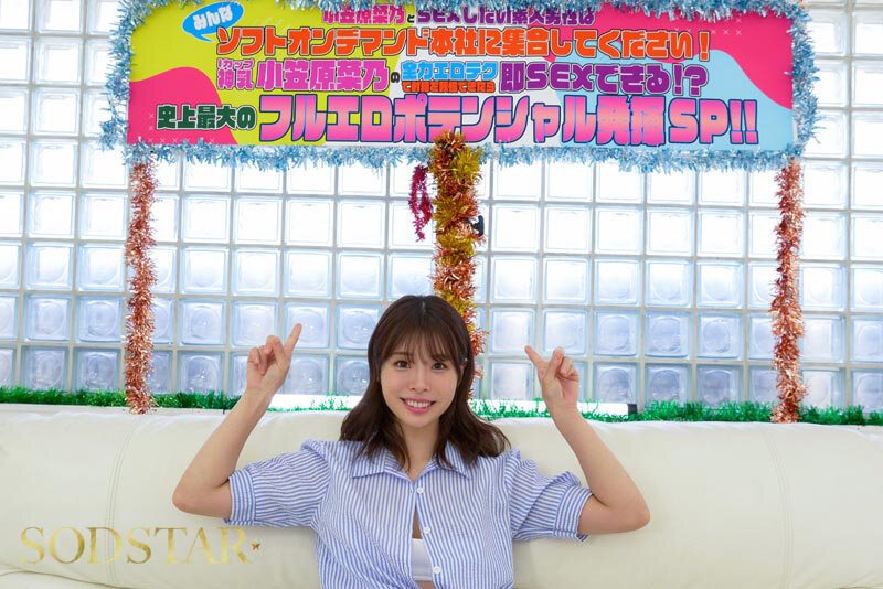 サンプル画像