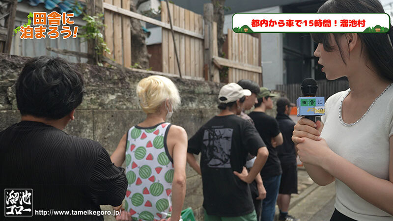 サンプル画像