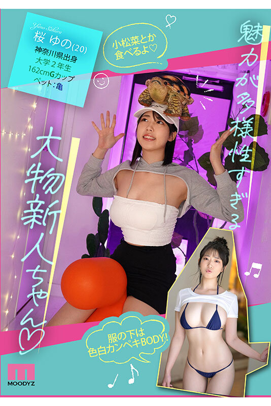 サンプル画像