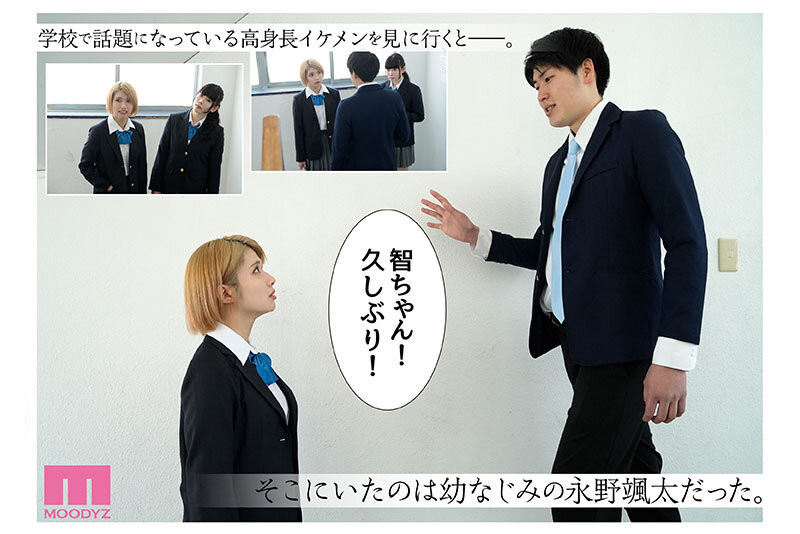 サンプル画像