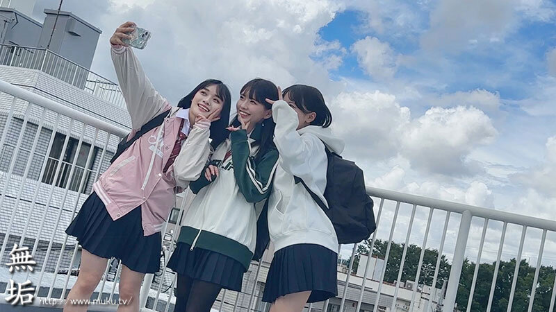 サンプル画像