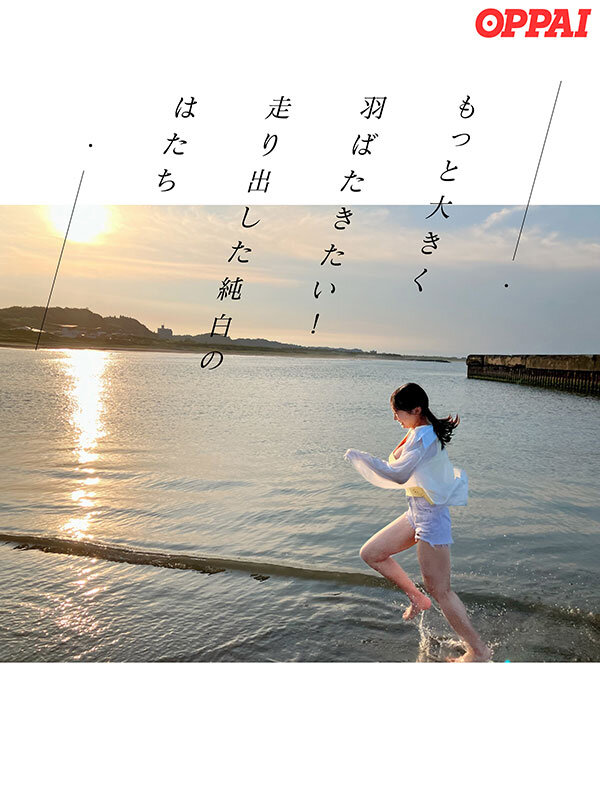 サンプル画像