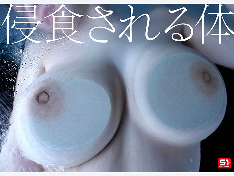 サンプル画像