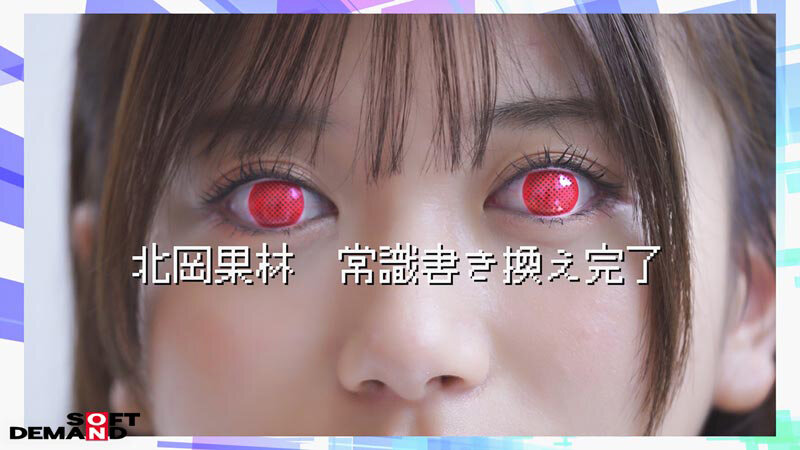 サンプル画像