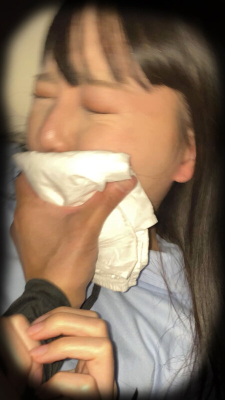 サンプル画像