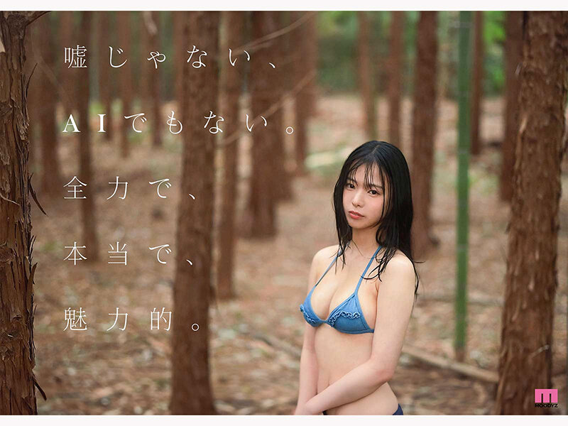 サンプル画像