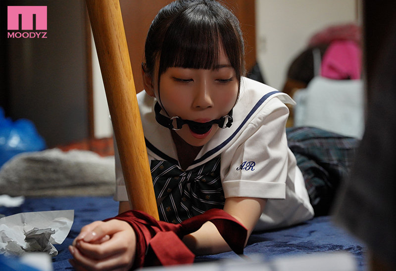 サンプル画像