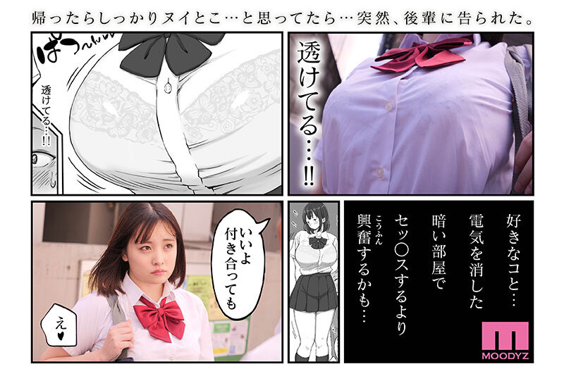 サンプル画像