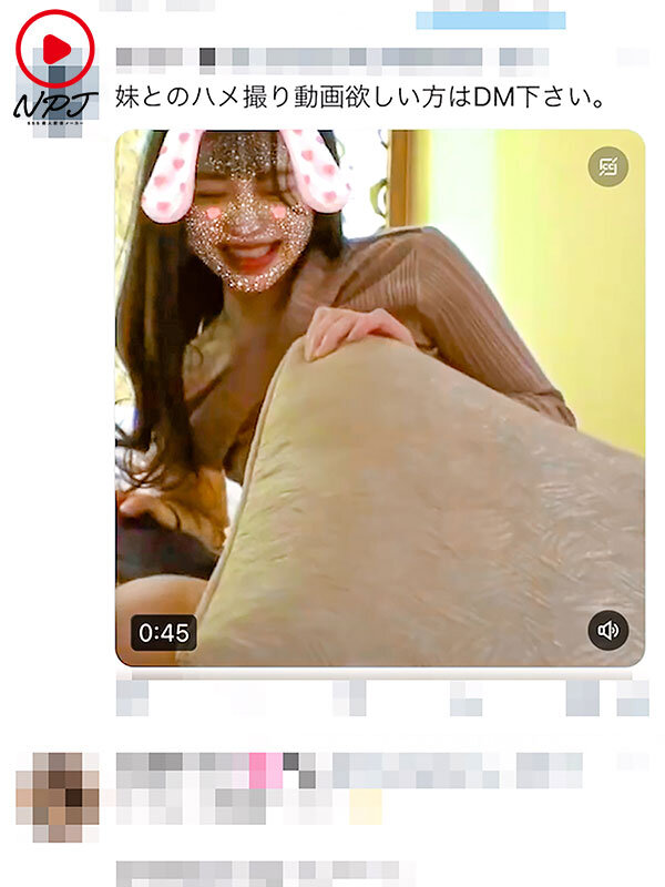 サンプル画像